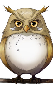Owl