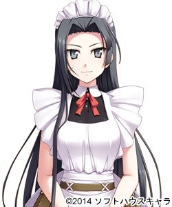 Phantom Thief Maid