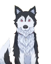 Yuki