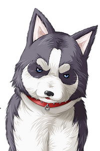 Kojirou