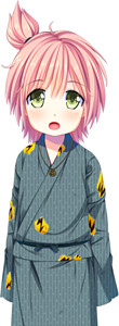 Tokugawa Shinnosuke