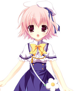 Kamisato Koto