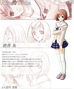 Touka Akane