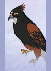 Kohaku