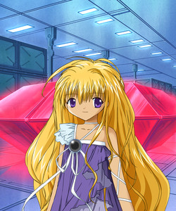 Noa