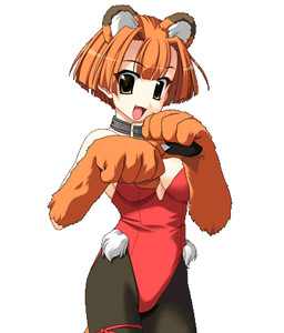 Araiguma-chan