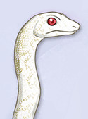Haku
