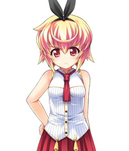 Kororoko Swallow