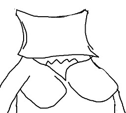 Ms. Pillow