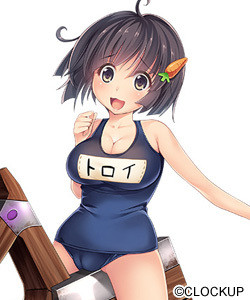 Toroi