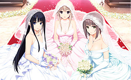 Niizuma Lovely x Cation