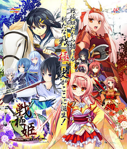 Sengoku Hime 5 ~Senka Tatsu Haou no Keifu~