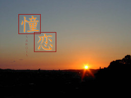 Akoi